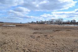 post-24328-0-78879500-1397197877_thumb.j