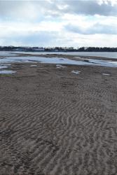 post-24328-0-87447600-1397198262_thumb.j