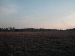 post-2627-0-25289000-1396457379_thumb.jp