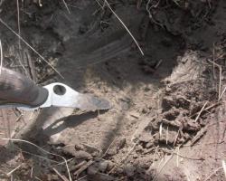 post-2627-0-62271700-1396458535_thumb.jp