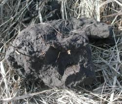 post-2627-0-67274800-1396458234_thumb.jp