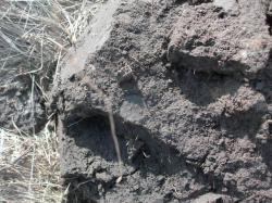 post-2627-0-76876300-1396458243_thumb.jp