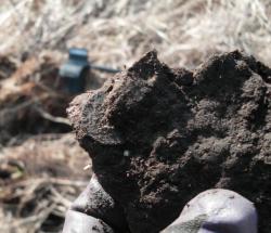 post-2627-0-86879900-1396458556_thumb.jp