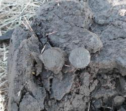 post-2627-0-87078700-1396458568_thumb.jp