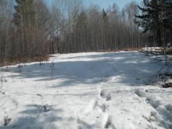 post-2627-0-94641200-1396457470_thumb.jp