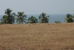 post-26692-0-82301700-1396687309_thumb.j