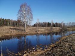 post-26744-0-03490700-1397944813_thumb.j