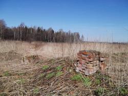 post-26744-0-18732000-1397947007_thumb.j