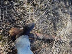 post-26744-0-25934300-1397946935_thumb.j