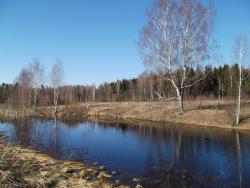 post-26744-0-26342100-1397944858_thumb.j