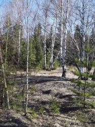 post-26744-0-36184900-1397945062_thumb.j