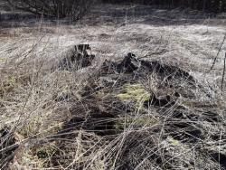 post-26744-0-45818500-1397945704_thumb.j