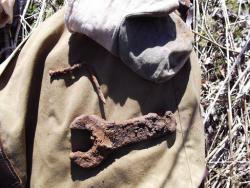 post-26744-0-52102800-1397947168_thumb.j