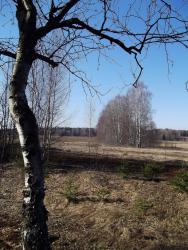 post-26744-0-56847200-1397945077_thumb.j