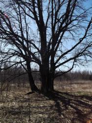 post-26744-0-58571300-1397947294_thumb.j