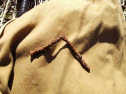 post-26744-0-68938700-1397947163_thumb.j