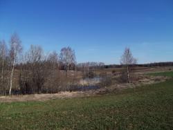 post-26744-0-76878900-1397944634_thumb.j