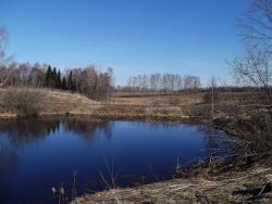 post-26744-0-77152300-1397945056_thumb.j