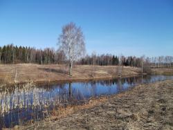 post-26744-0-77549300-1397944698_thumb.j