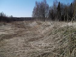 post-26744-0-85138300-1397947381_thumb.j