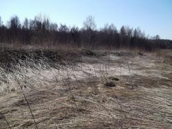 post-26744-0-90935000-1397947376_thumb.j