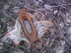 post-26744-0-93465700-1398458239_thumb.j