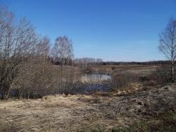 post-26744-0-95028700-1397944691_thumb.j