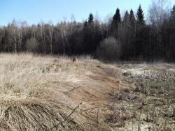 post-26744-0-97385000-1397945636_thumb.j