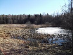 post-26744-0-99735800-1397945277_thumb.j