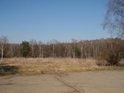 post-26941-0-15675500-1398022406_thumb.j