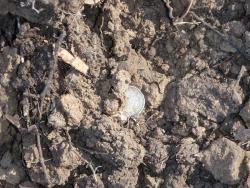 post-26941-0-31397000-1398023070_thumb.j