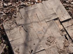 post-26941-0-76709700-1398024737_thumb.j