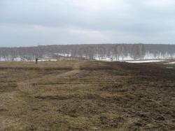 post-27127-0-27952800-1396759304_thumb.j