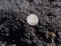 post-27127-0-33472500-1397744814_thumb.j