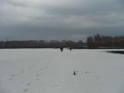 post-27127-0-41711900-1396759303_thumb.j