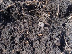 post-27127-0-61048100-1397744541_thumb.j