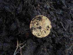 post-27127-0-95692700-1396759304_thumb.j