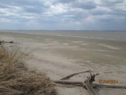 post-27143-0-01715200-1398173791_thumb.j