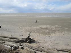 post-27143-0-36609100-1398695046_thumb.j