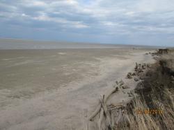 post-27143-0-41341300-1398173834_thumb.j