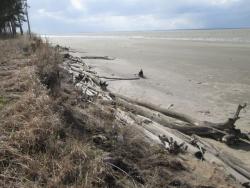 post-27143-0-69175800-1398695022_thumb.j