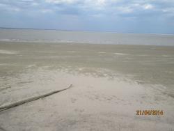 post-27143-0-93693300-1398173808_thumb.j