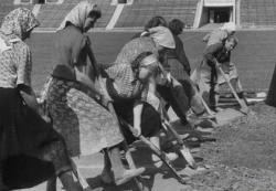 post-27646-0-66243600-1397149150_thumb.j