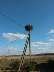 post-27784-0-50646500-1398239593_thumb.j