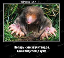 post-2838-0-26258400-1396550020_thumb.jp