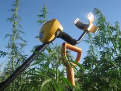 post-2838-0-74766500-1396549857_thumb.jp