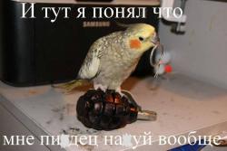 post-2838-0-87738700-1396549730_thumb.jp