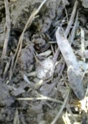 post-28930-0-07873900-1397201778_thumb.j