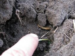 post-28930-0-30815500-1397881391_thumb.j