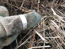 post-28930-0-32560700-1397881412_thumb.j